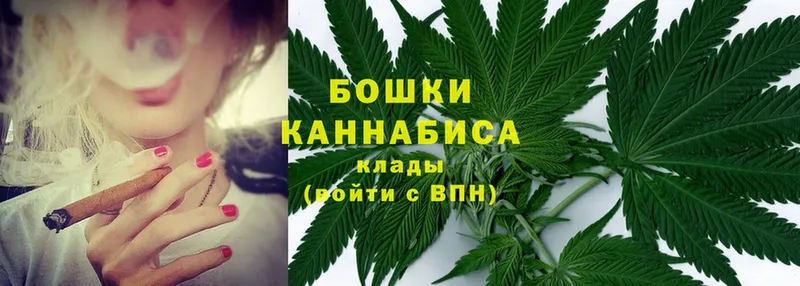 Бошки Шишки THC 21%  Майкоп 